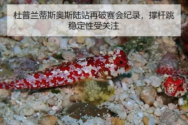 杜普兰蒂斯奥斯陆站再破赛会纪录，撑杆跳稳定性受关注